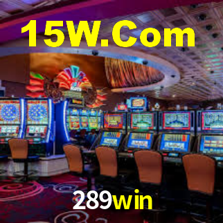 289win App Interface